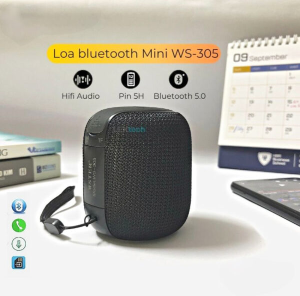 WS-305 Wireless Mini Bluetooth Speaker